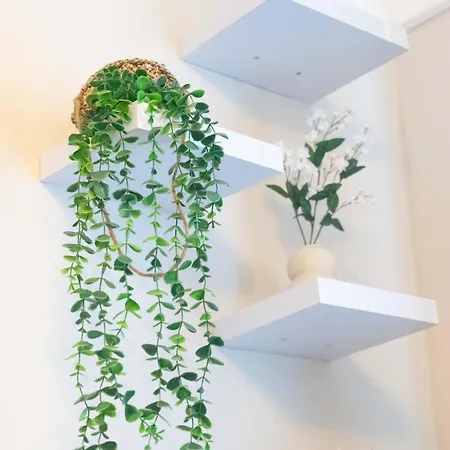 Comfortable With Free Parking